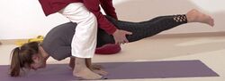 In den Pfau helfen helfen - Yoga Vidya Bodywork Mayurasana 6.jpg