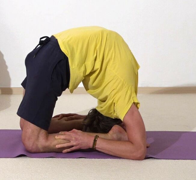 Datei:Fortgeschrittenes Yoga Kamel mit Haenden an den Knien - Ushtrasana.jpg