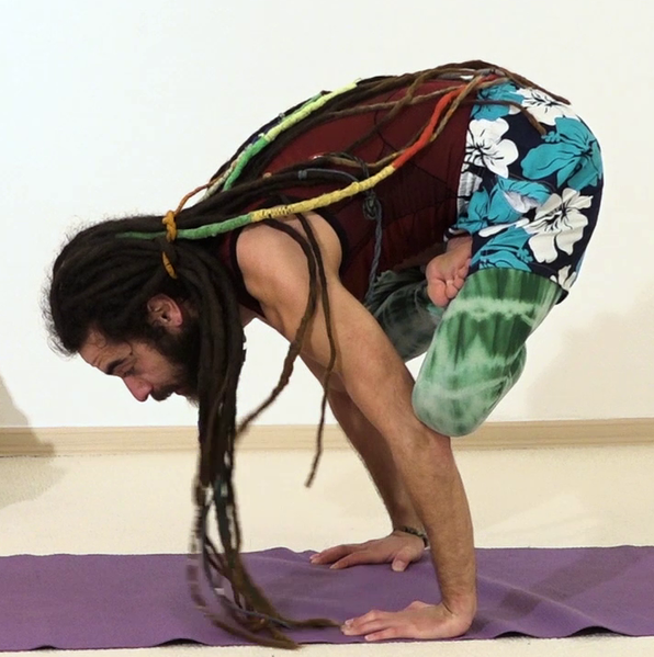 Datei:Lotos Kranichhaltung 4 angekommen.png