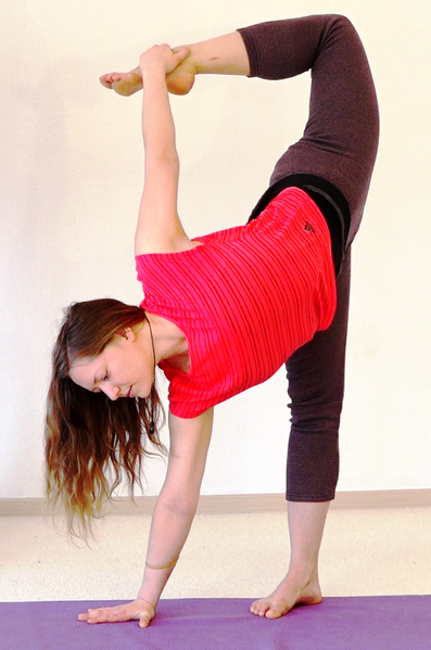 Datei:2335-Mokshasana.png