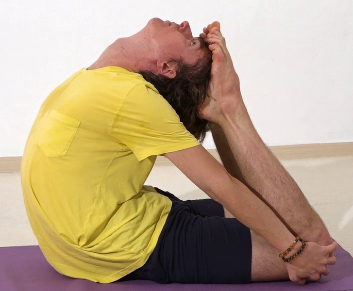 Datei:Koenigs-Taube - Rajakapotasana.png