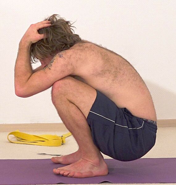 Datei:Purna Trikonasana 2419 Variation 1.jpg