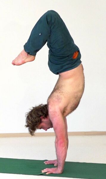 Datei:2797-Vajra-Pada-Adho-Mukha-Vrikshasana.jpg