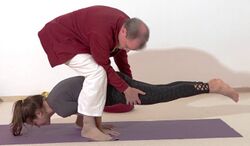 In den Pfau helfen helfen - Yoga Vidya Bodywork Mayurasana 7.jpg