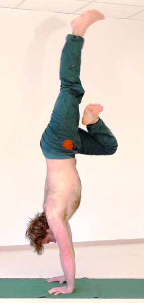 Datei:127-Ardha-Padmasanain-Adho-Mukha-Vrikshasana.png
