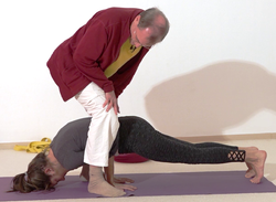 In den Pfau helfen helfen - Yoga Vidya Bodywork Mayurasana 5.png