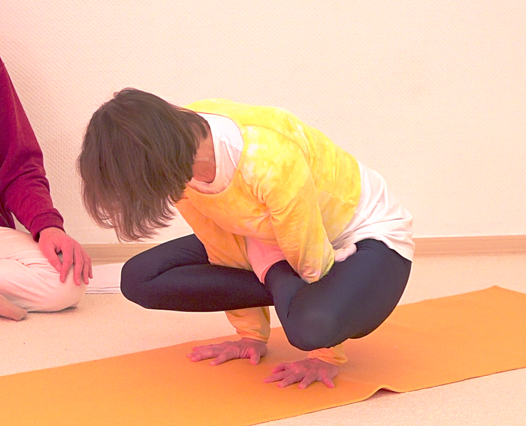 Datei:Pancha Chuli Kukkutasana AL 2712.png