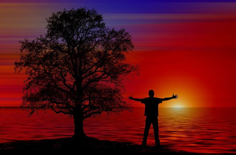 Datei:Mensch Sonnenuntergang Baum Offenheit Freude Wasser.jpg