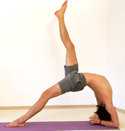 Umgekehrte Stockhaltung Dvipadaviparitadandasana - Yoga Pose 6.png
