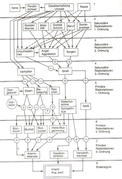 Risikofaktorenmodell nach Schaefer 1979 (Knoll, 1997, S.22).png