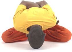 Yoga Mudra: Ausgangsstellung: Gebundener Lotus (Bandha Padmasana - oder Bandha Padmasan) : Arme hinter dem Rücken kreuzen und mit den Fingern um die Füße fassen und dann nach vorne beugen.