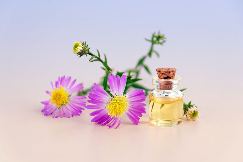 Datei:Medizin-Naturheilkunde-Öl-Blume.jpg