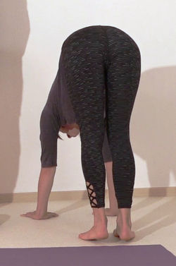 In den Handstand helfen - Yoga Vidya Bodywork 6.png