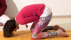 Pfau auf Faeusten 2 In die Stellung kommen.png