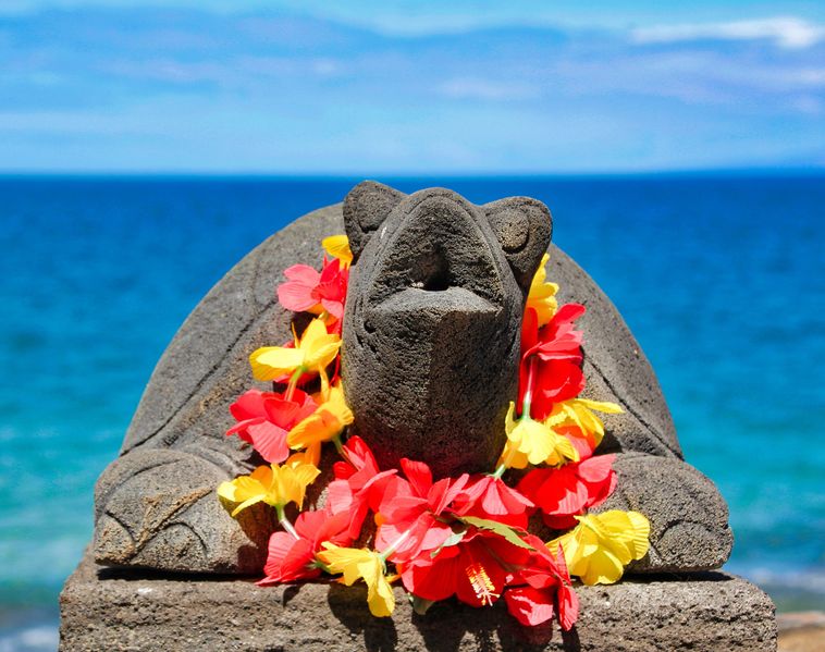Datei:Hawaii, Schildkröte, Blumen.jpg