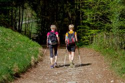 Nordic Walking-Stock-Natur-Wald-Wiese-Frauen-Gesundheit-Freizeit-Wandern-Walking.jpg